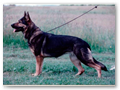 Queen von der M�ritz